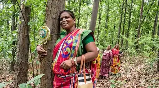 Jamuna Tudu: The Forest Guardian Taking a Stand Against the Timber Mafia