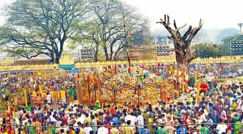 Sammakka Sarakka Festival: A Grand Tribal Celebration